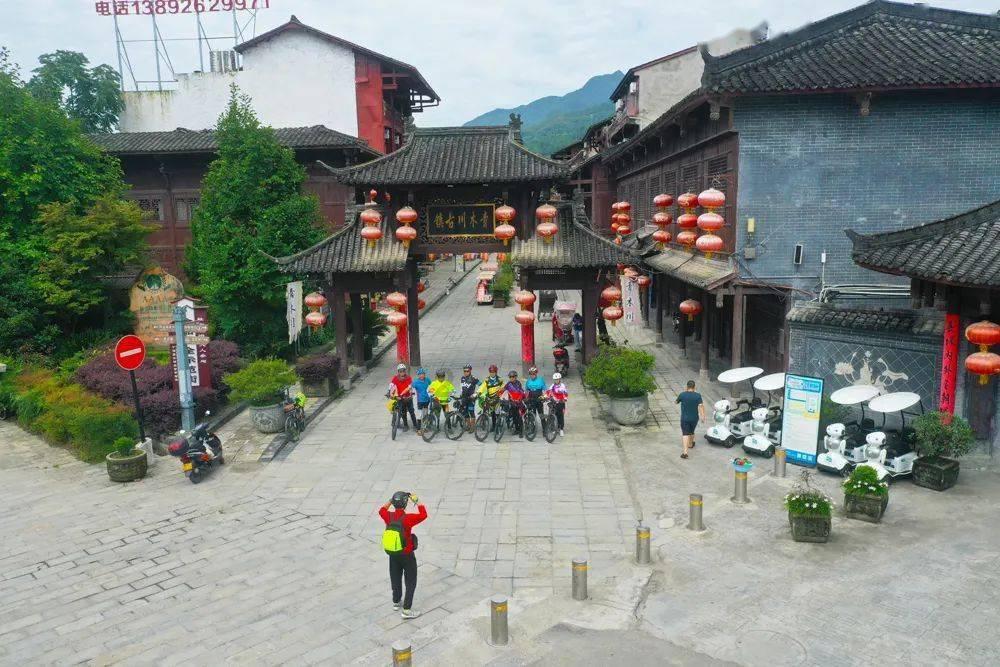探索猪蹄吃一条黑色的东西是什么?,解答你的疑问